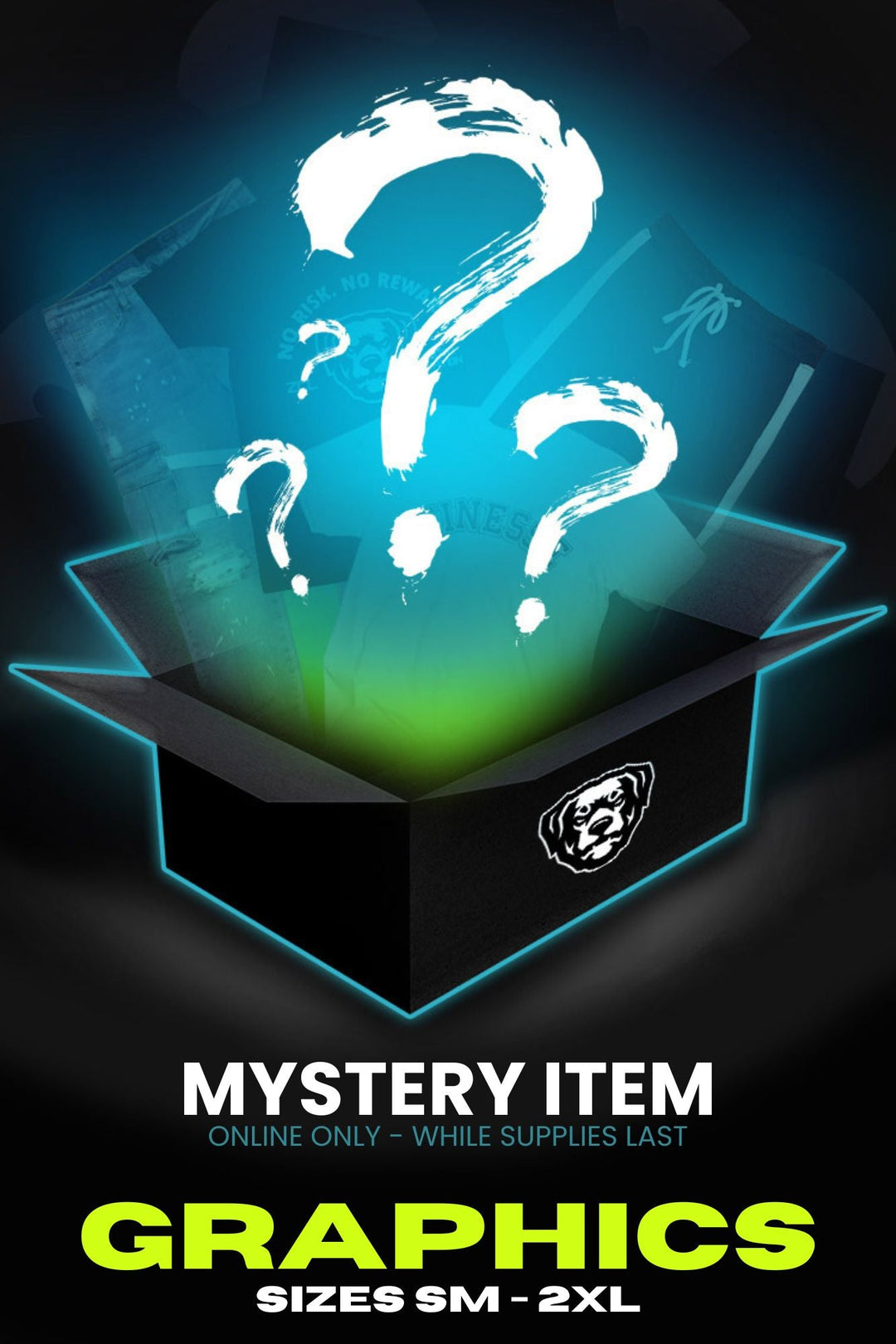 Mystery Graphic Tees (Small - 3XL) (Copy) Test - Zamage