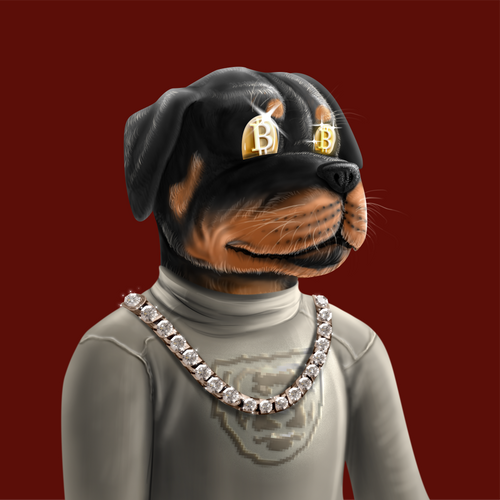 Crypto Rott #285