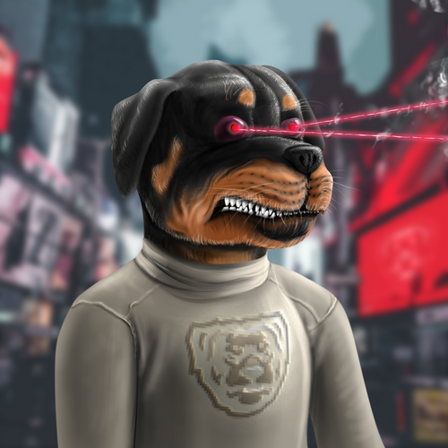 Crypto Rott #914