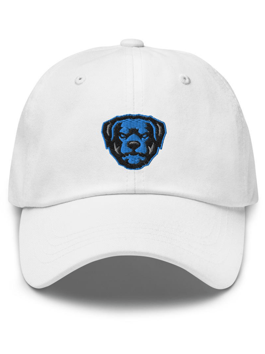Air Jordan 1 High OG Hyper Royal Dad Hat - Zamage