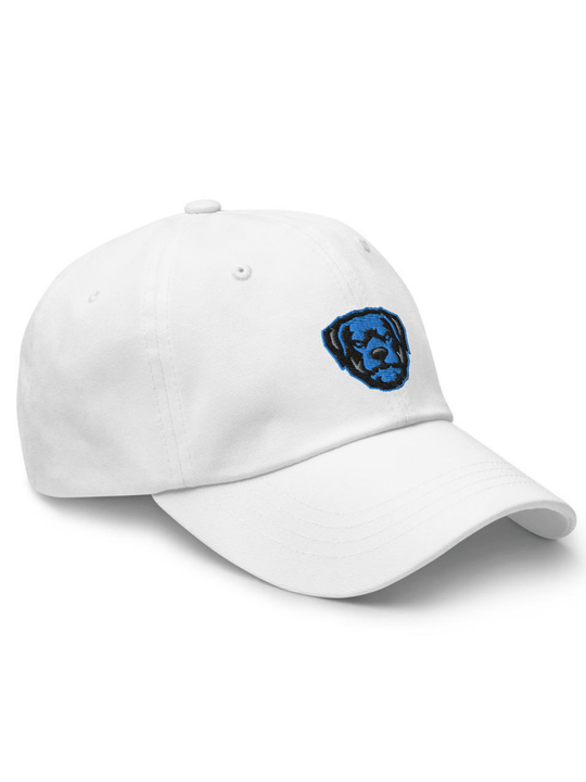 Air Jordan 1 High OG Hyper Royal Dad Hat - Zamage
