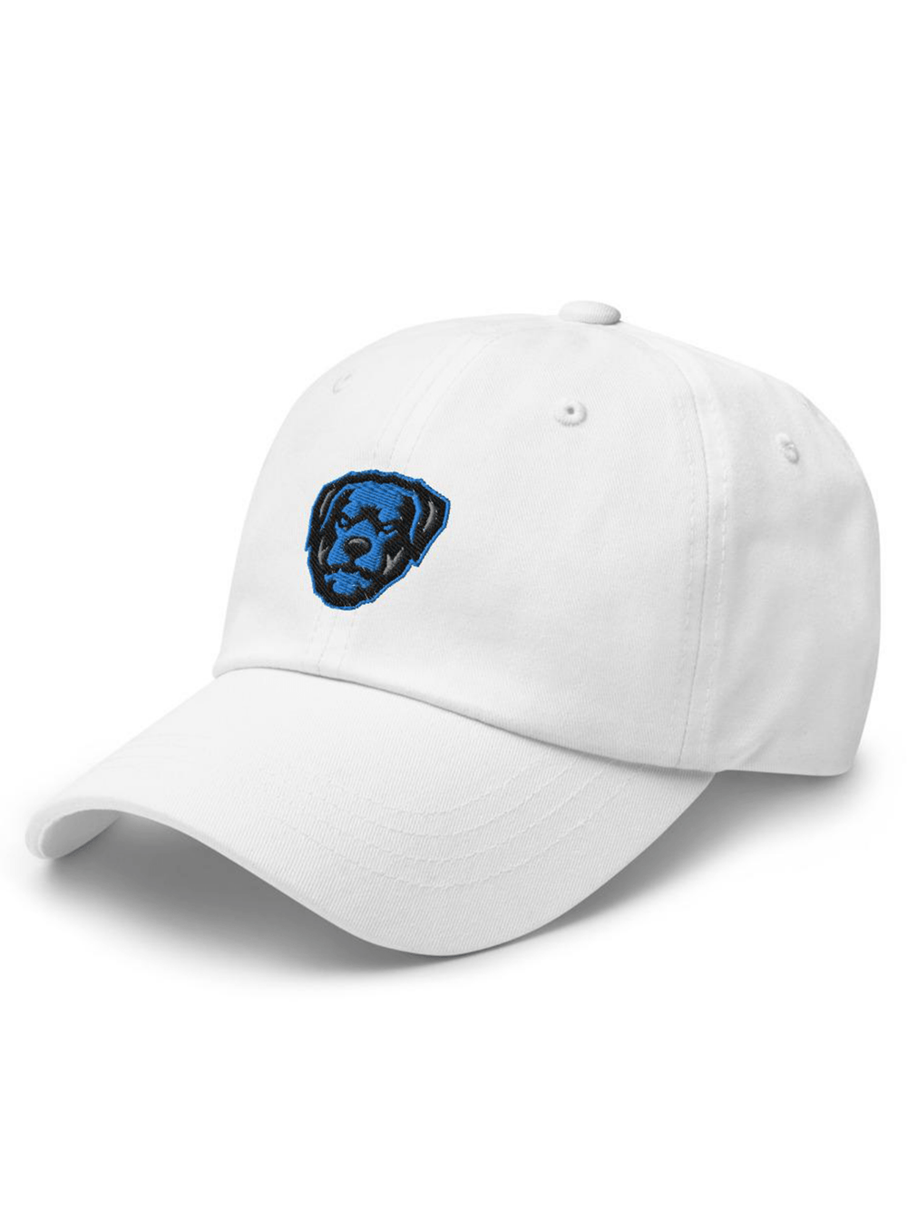 Air Jordan 1 High OG Hyper Royal Dad Hat - Zamage