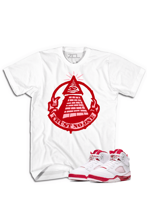 Air Jordan 5 GS 