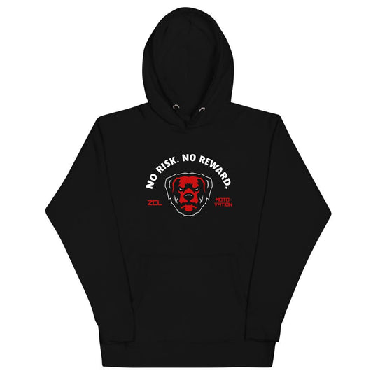 Air Jordan 5 Retro "No Risk No Reward" Hoodie (Raging Bull) - Zamage