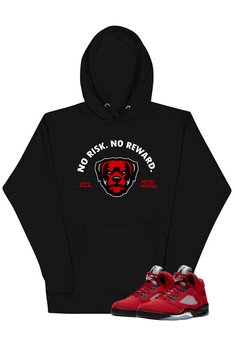 Air Jordan 5 Retro "No Risk No Reward" Hoodie (Raging Bull) - Zamage
