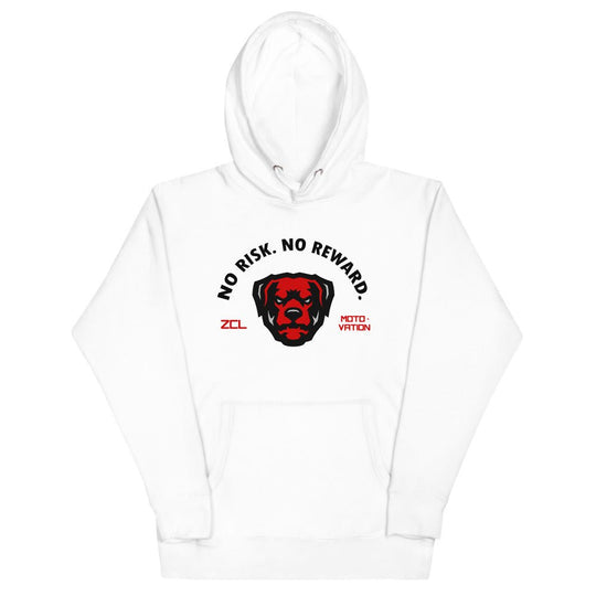 Air Jordan 5 Retro "No Risk No Reward" Hoodie (Raging Bull) - Zamage