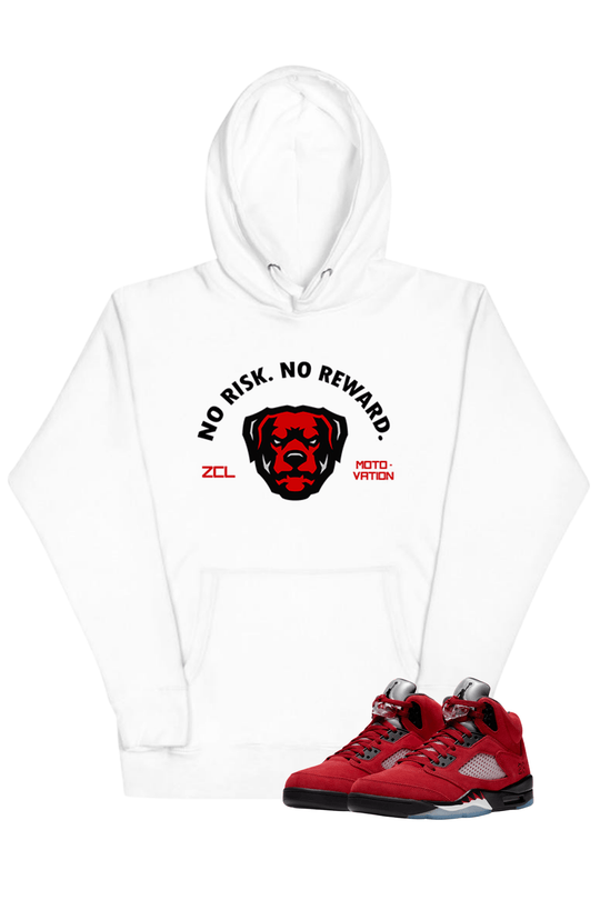 Air Jordan 5 Retro "No Risk No Reward" Hoodie (Raging Bull) - Zamage