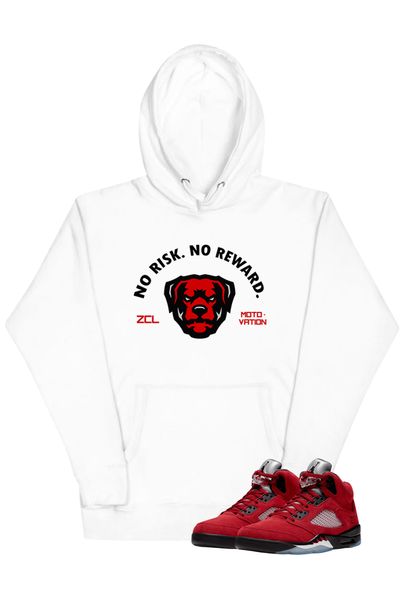 Air Jordan 5 Retro "No Risk No Reward" Hoodie (Raging Bull) - Zamage