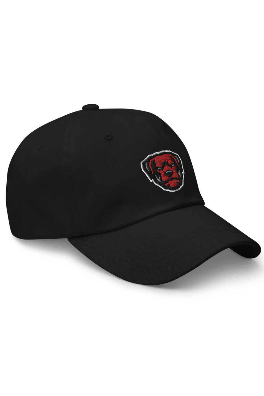 Air Jordan 5 Retro Raging Bull Dad Hat - Zamage