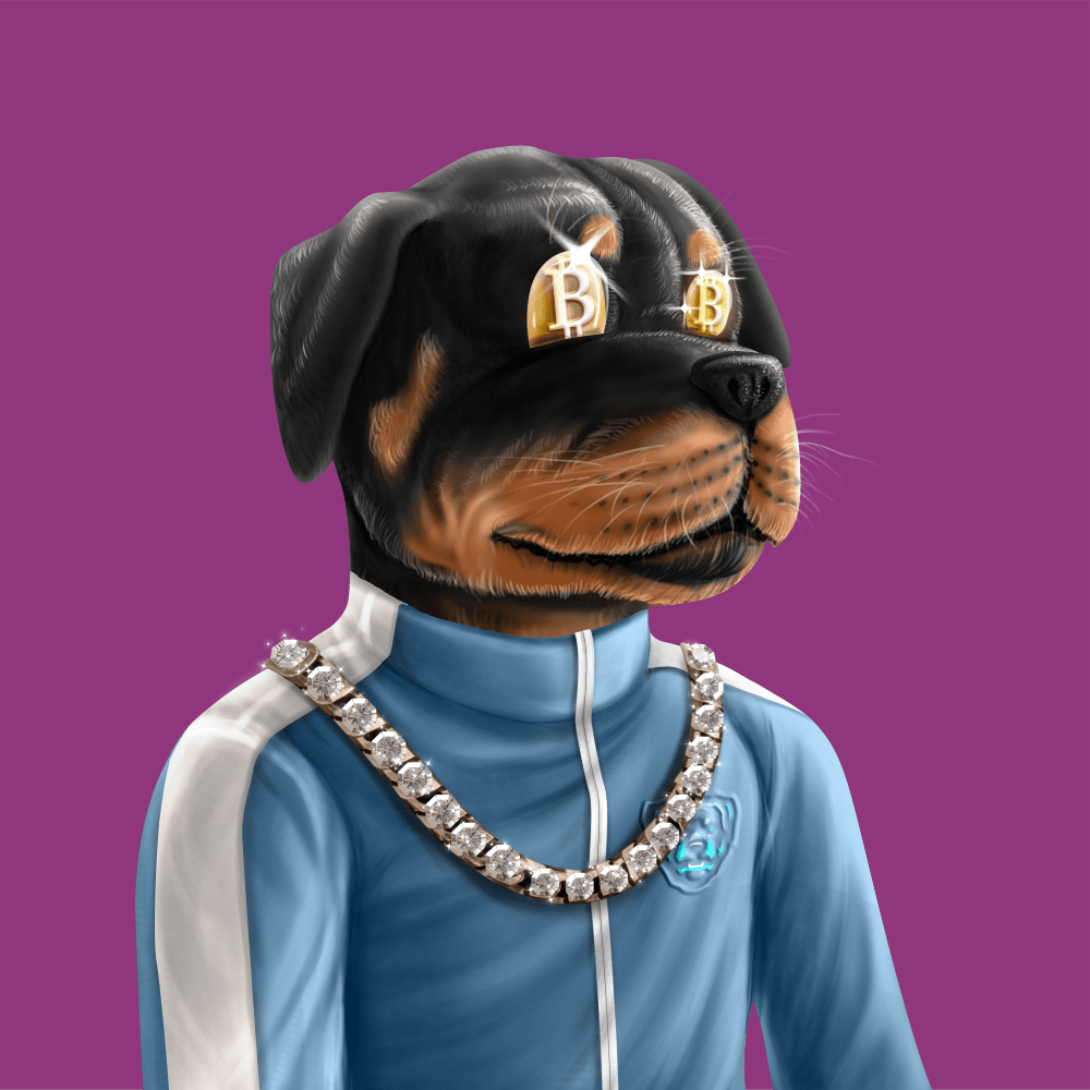 Crypto Rott 143 - Zamage