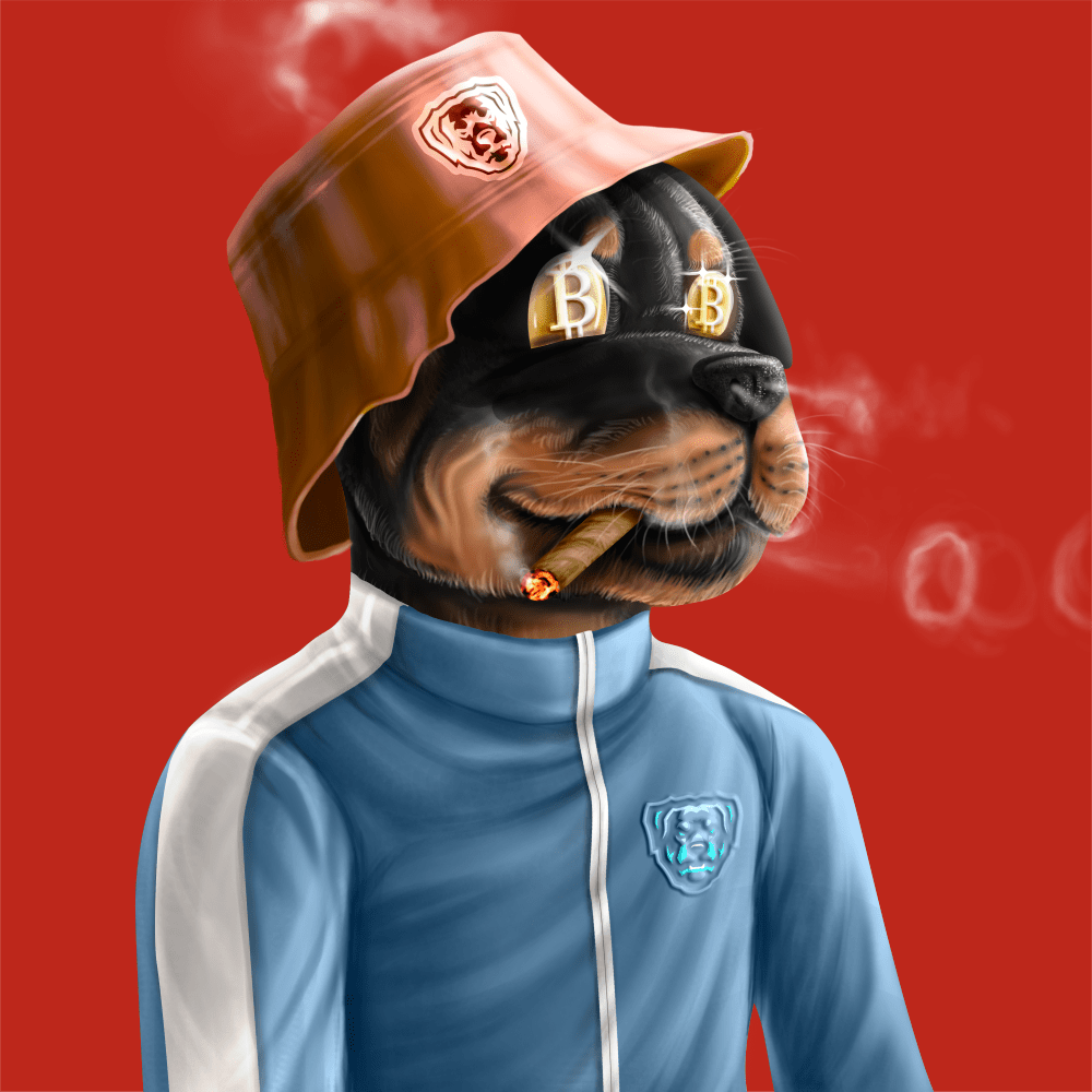 Crypto Rott 221 - Zamage