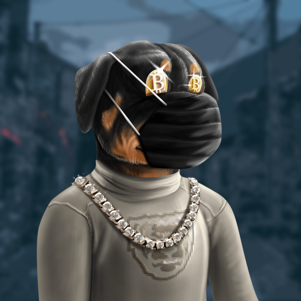 Crypto Rott 230 - Zamage