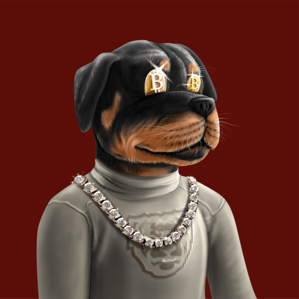 Crypto Rott 285 - Zamage