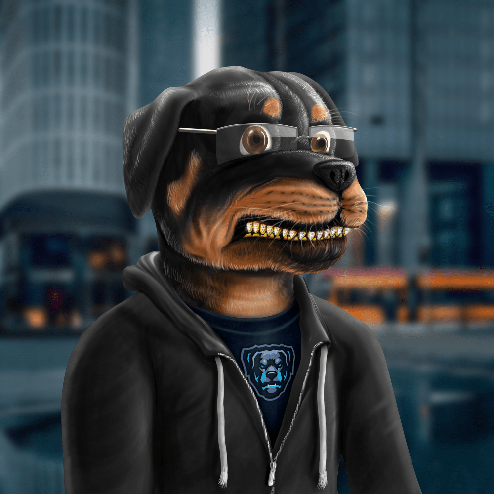 Crypto Rott 307 - Zamage