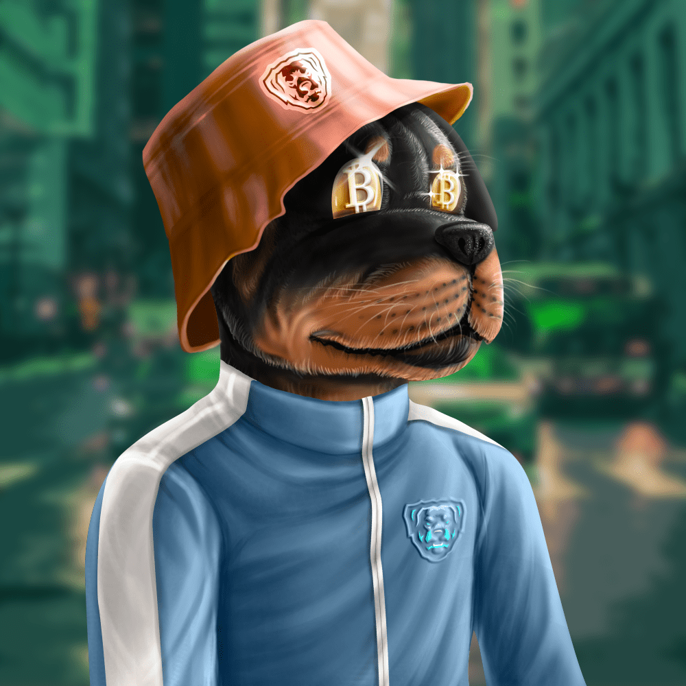 Crypto Rott 328 - Zamage