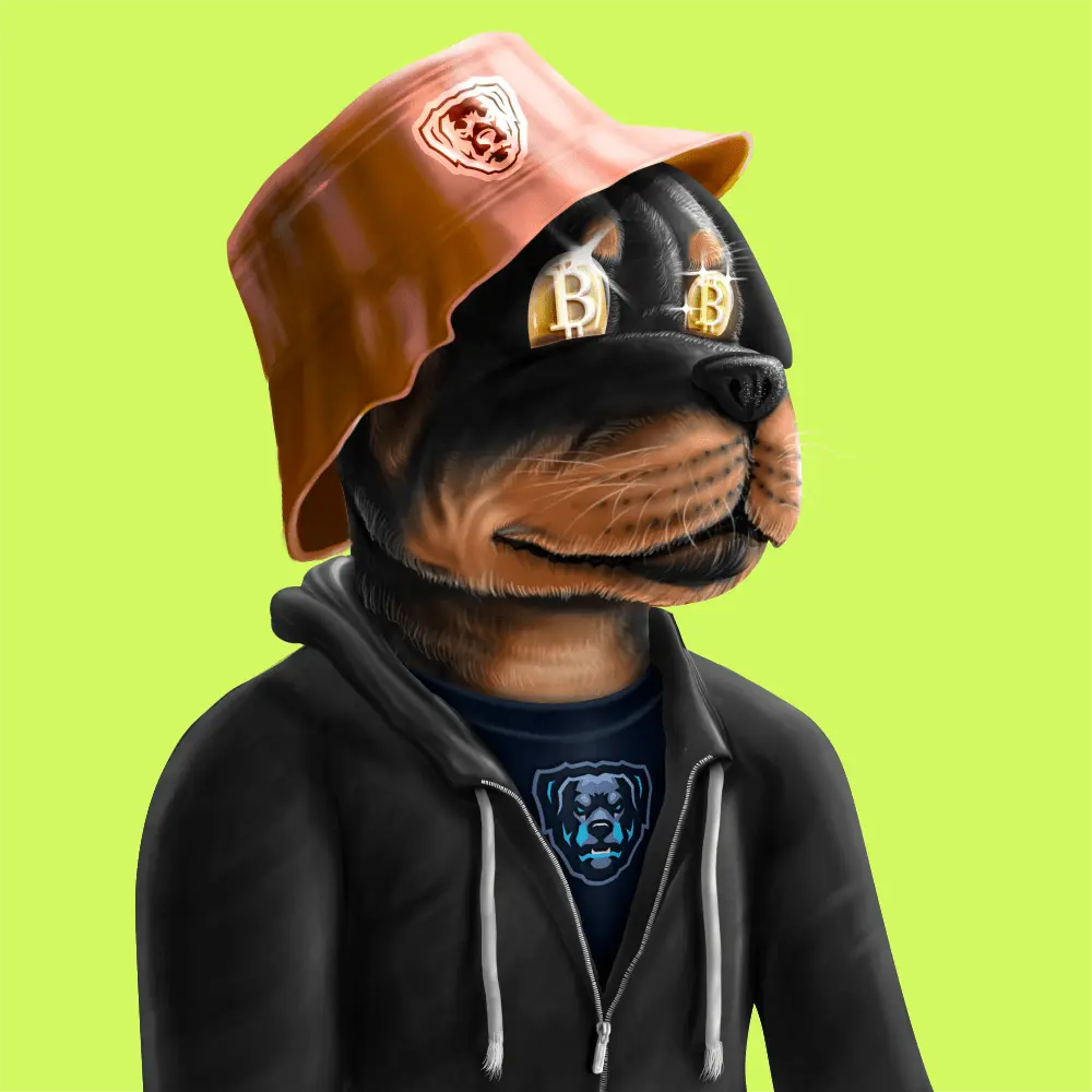 Crypto Rott 378 - Zamage