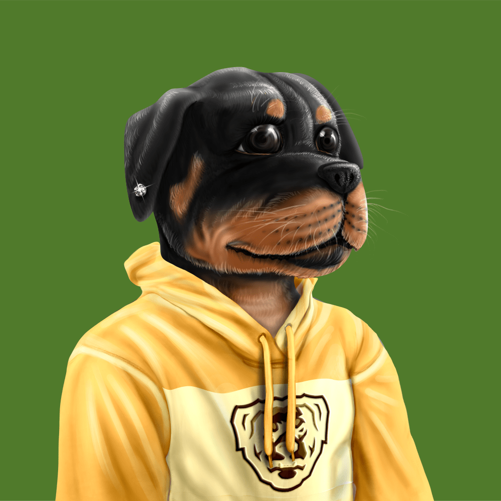 Crypto Rott 386 - Zamage