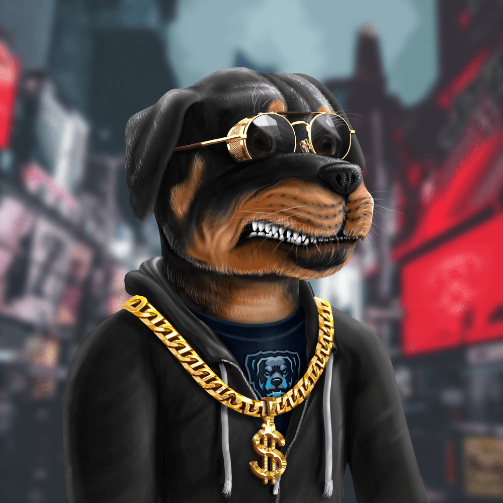Crypto Rott 404 - Zamage