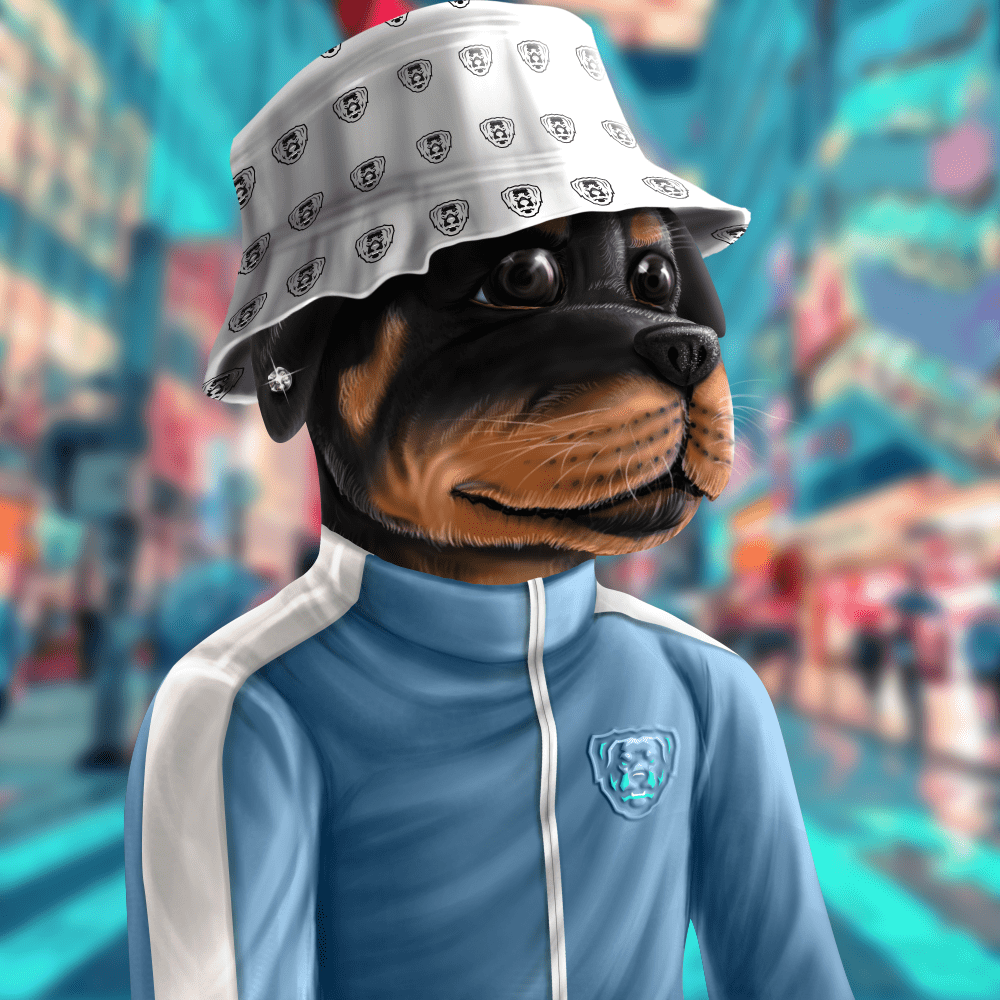 Crypto Rott 405 - Zamage