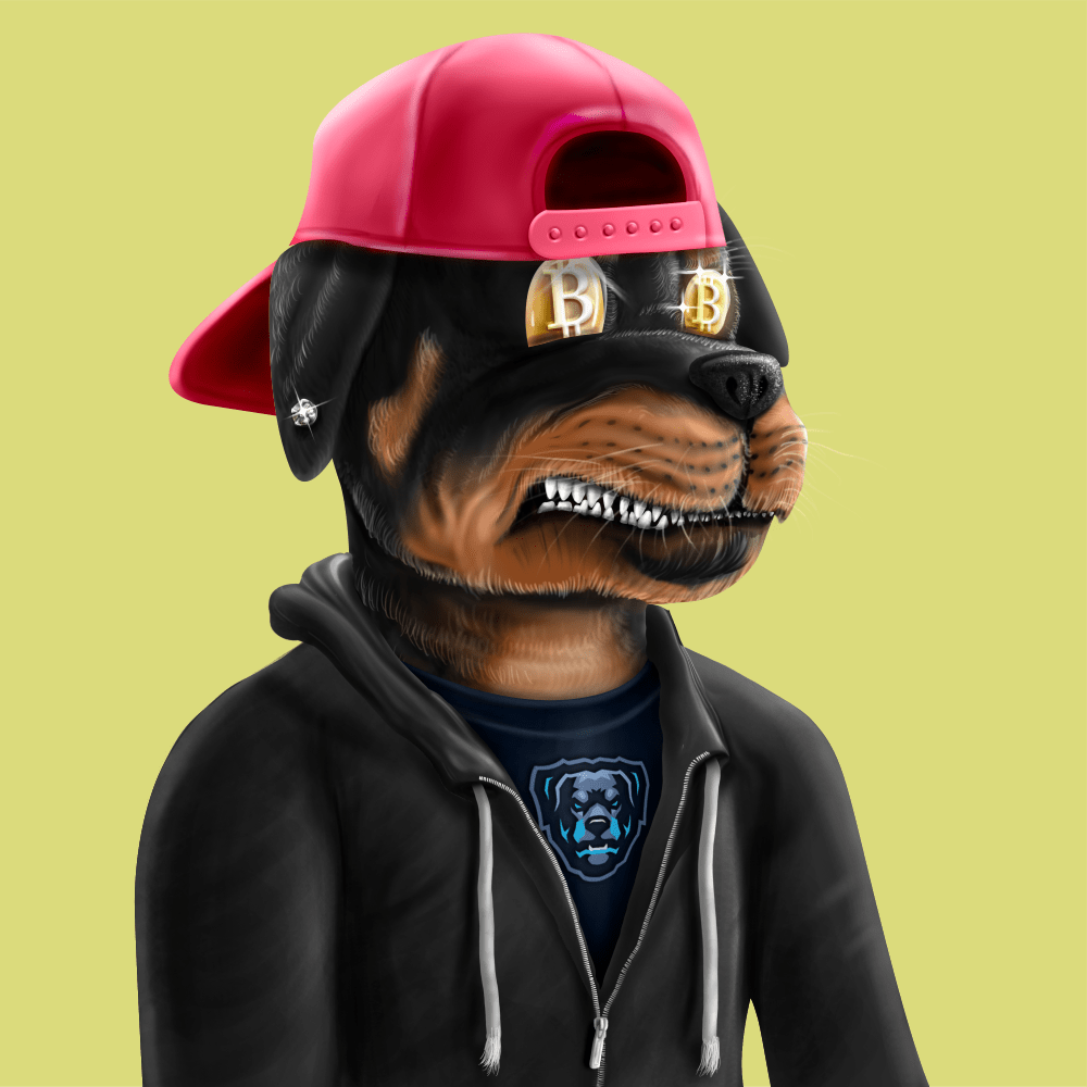 Crypto Rott 424 - Zamage