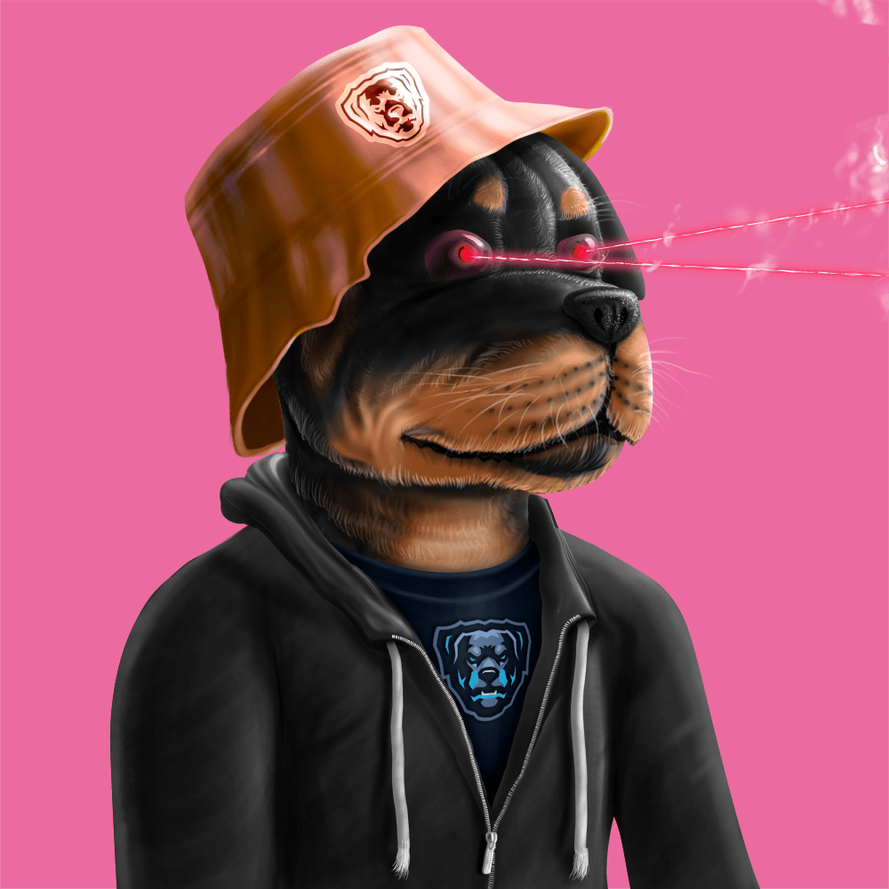 Crypto Rott 443 - Zamage