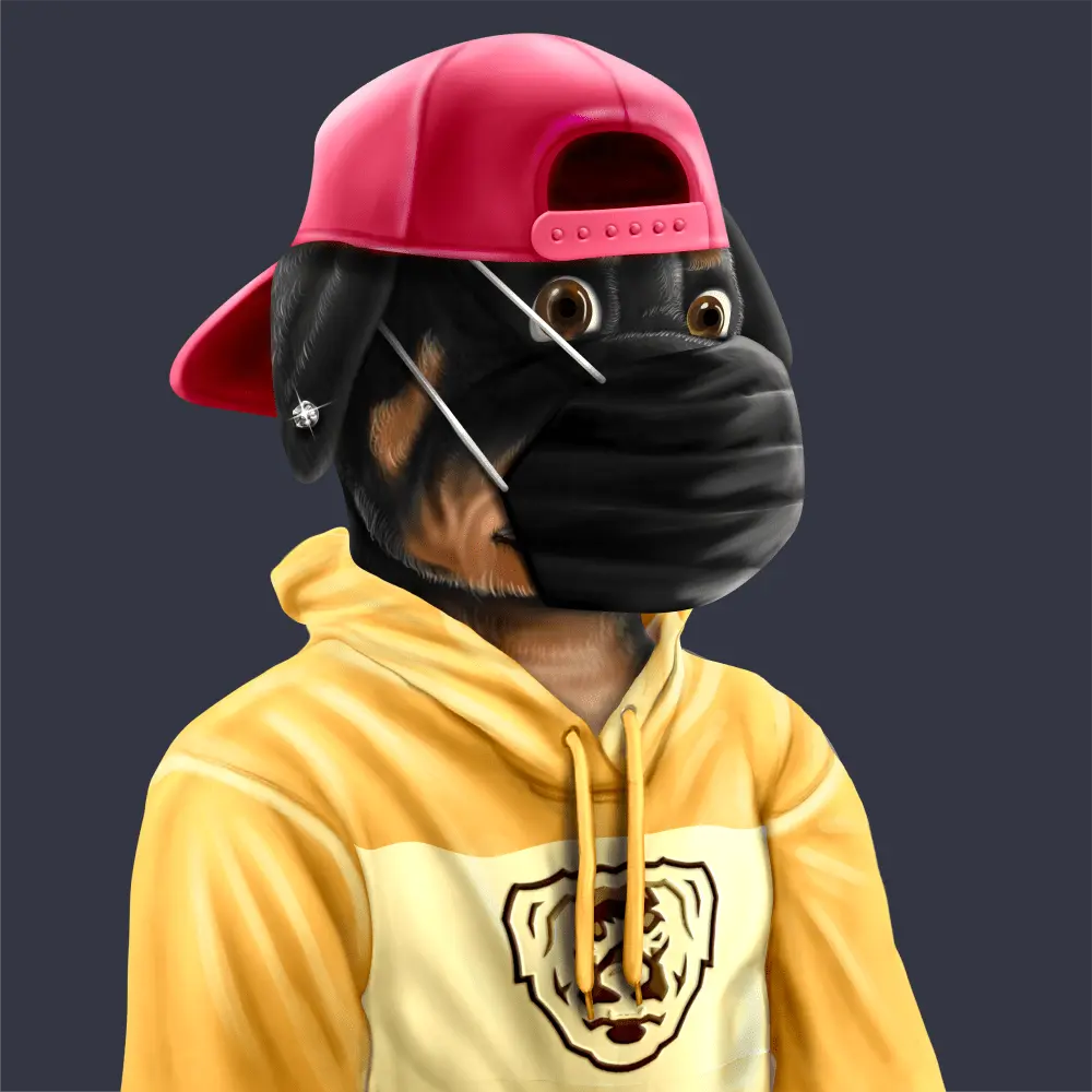 Crypto Rott 448 - Zamage