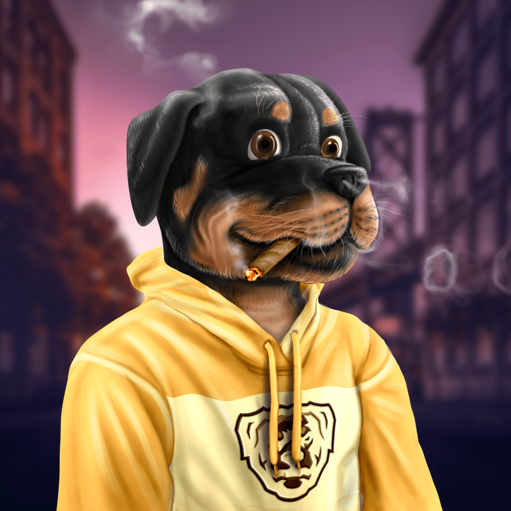 Crypto Rott 478 - Zamage