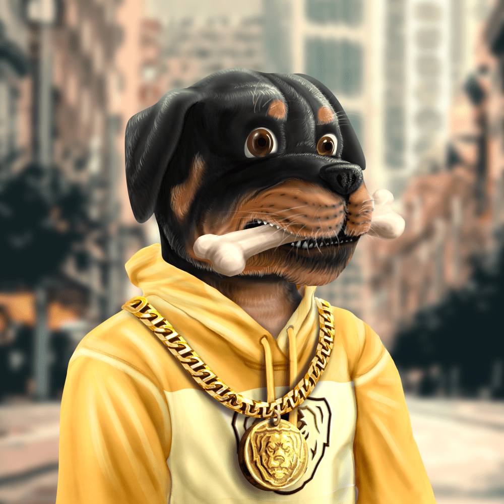 Crypto Rott 501 - Zamage