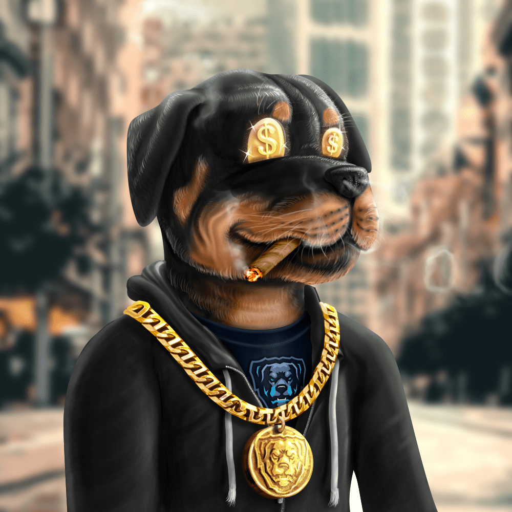 Crypto Rott 504 - Zamage