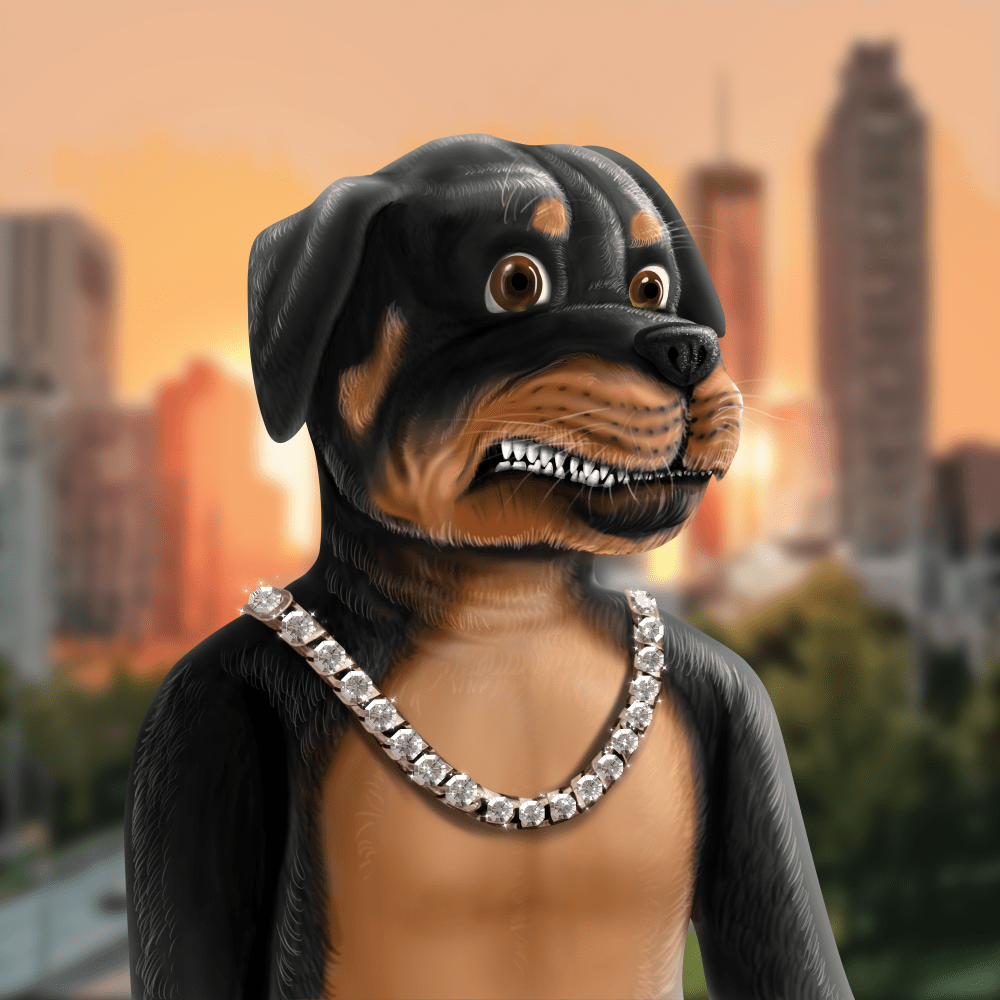 Crypto Rott 640 - Zamage