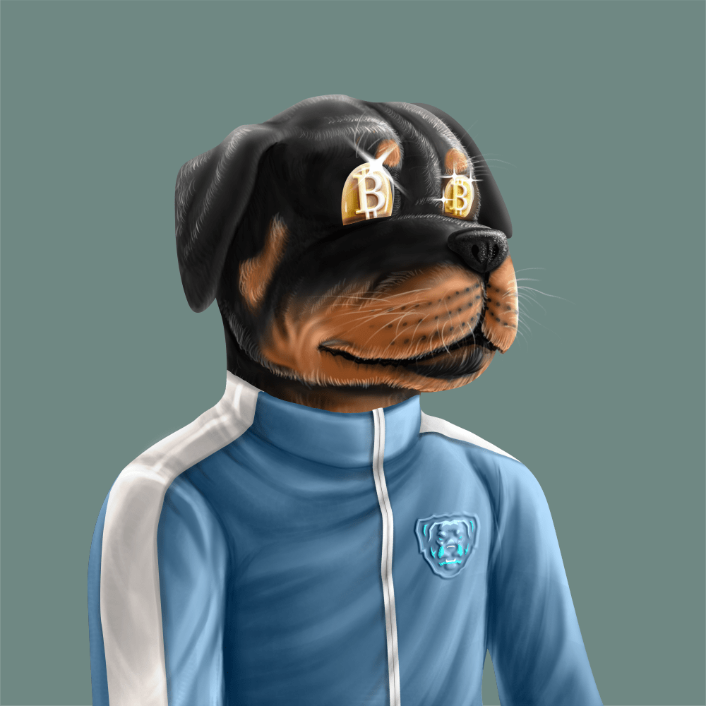 Crypto Rott 656 - Zamage