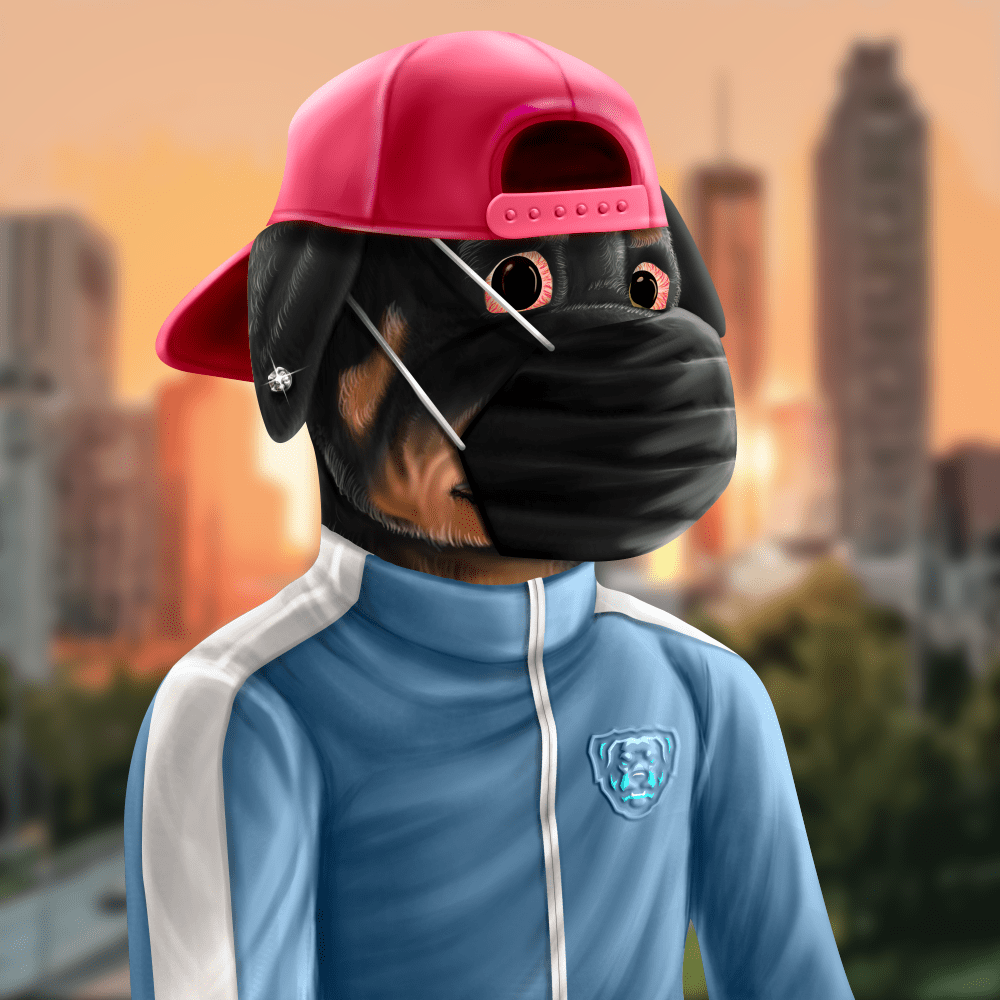 Crypto Rott 667 - Zamage