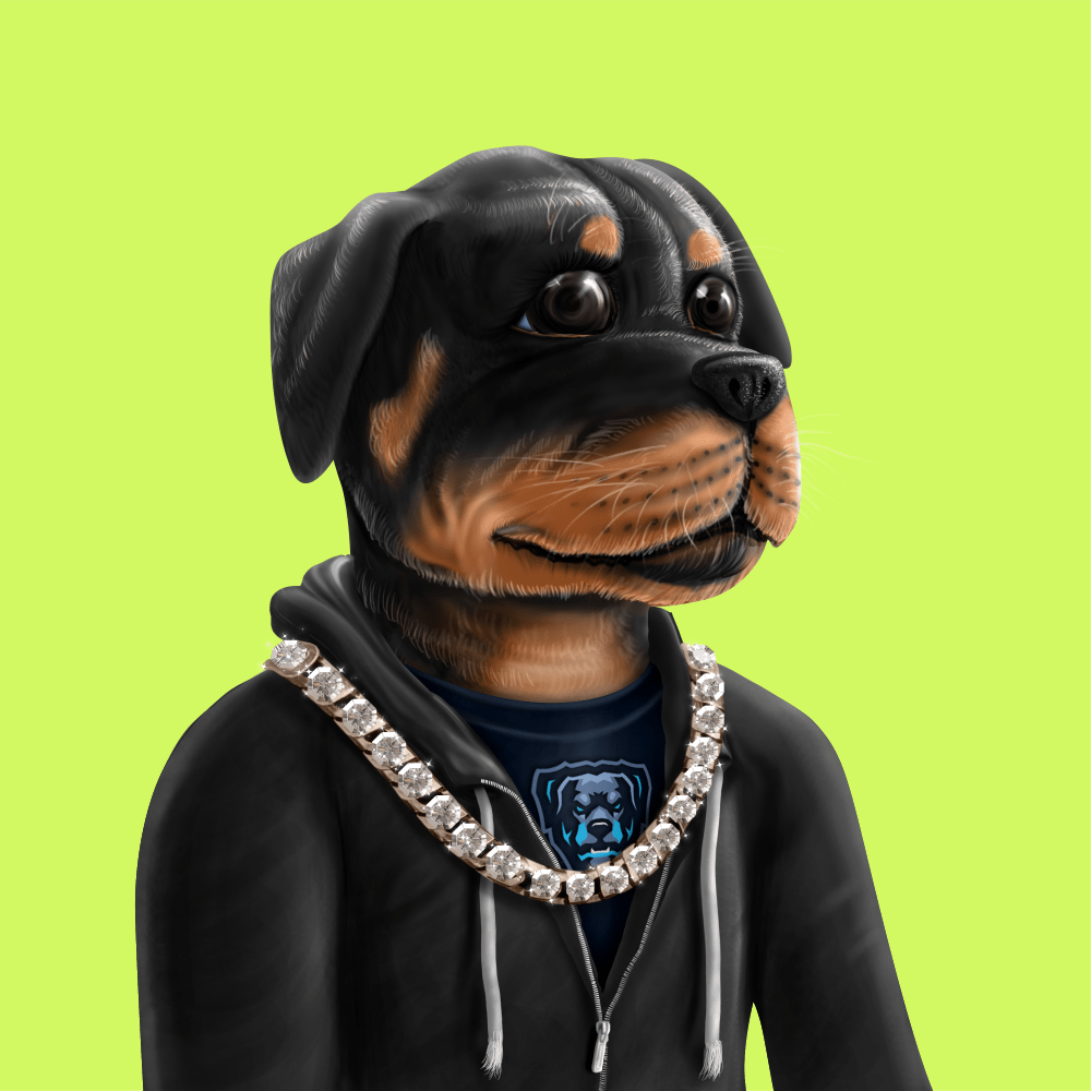 Crypto Rott 702 - Zamage