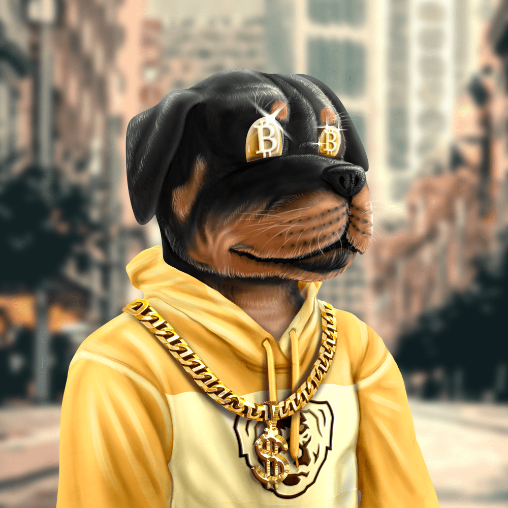 Crypto Rott 705 - Zamage