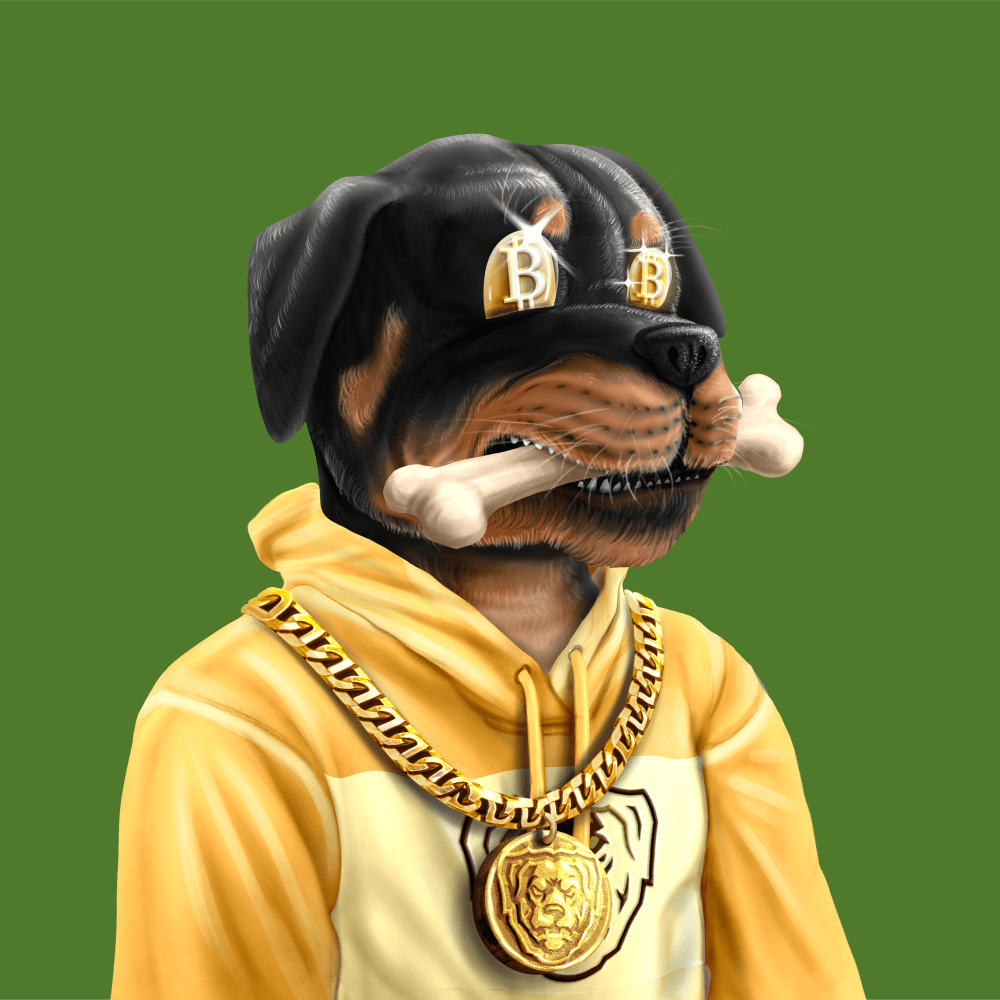 Crypto Rott 720 - Zamage