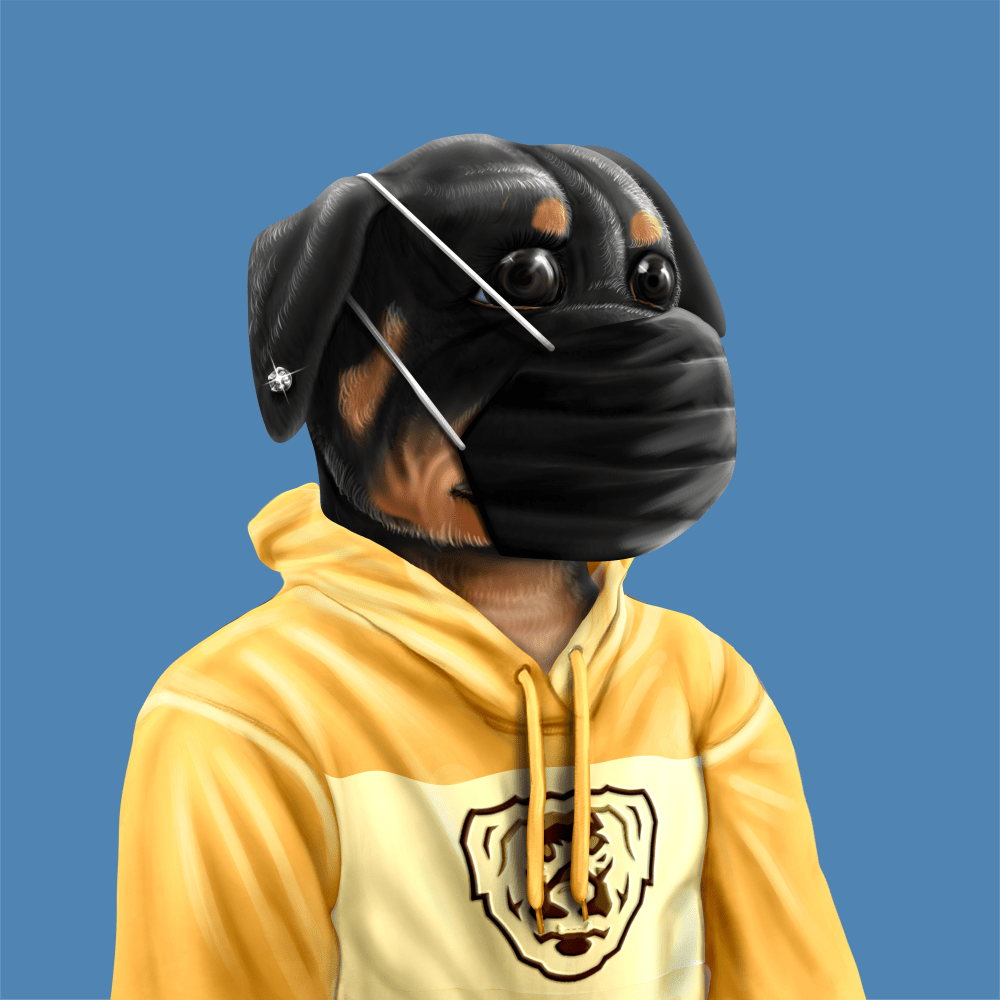 Crypto Rott 730 - Zamage
