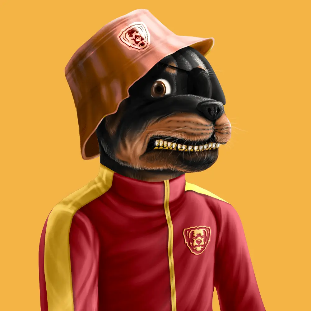 Crypto Rott 740 - Zamage