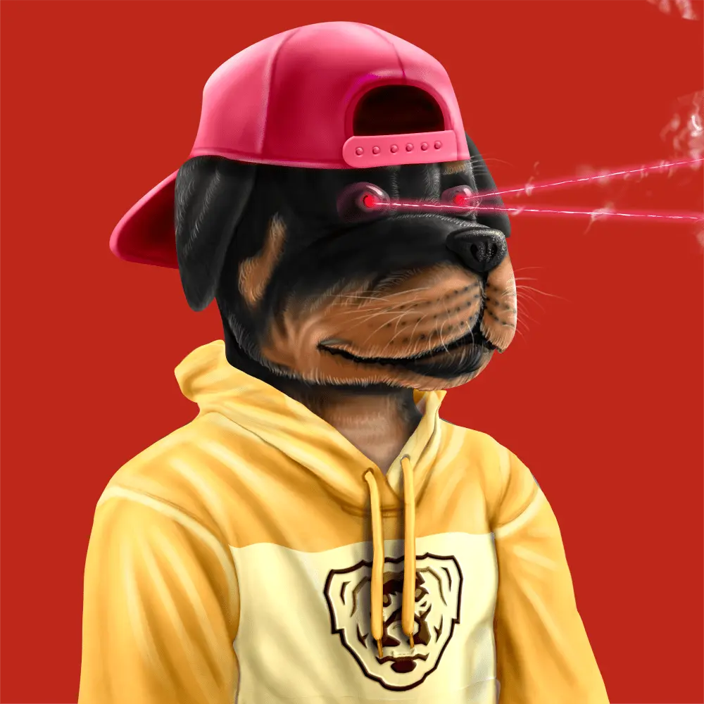 Crypto Rott 807 - Zamage