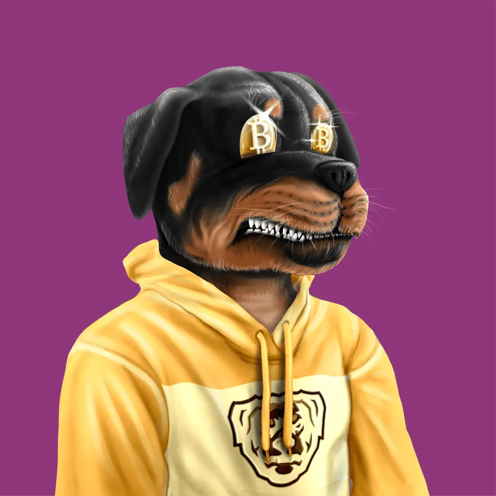 Crypto Rott 812 - Zamage