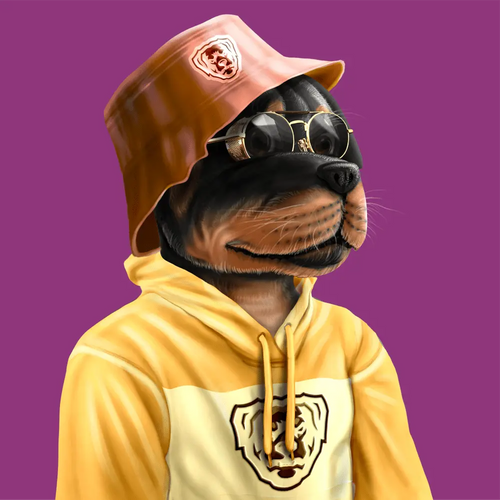 Crypto Rott 844 - Zamage