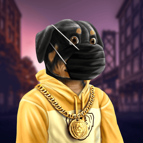 Crypto Rott 908 - Zamage