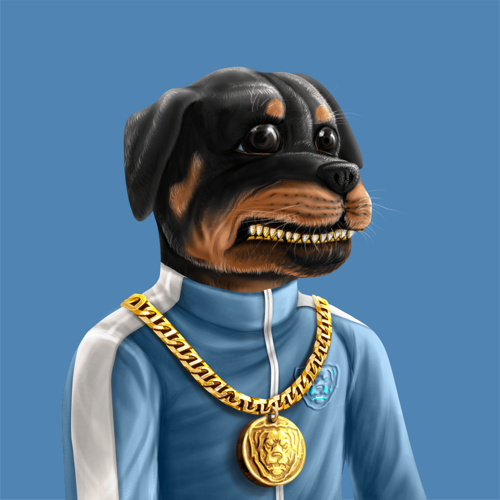 Crypto Rott 916 - Zamage