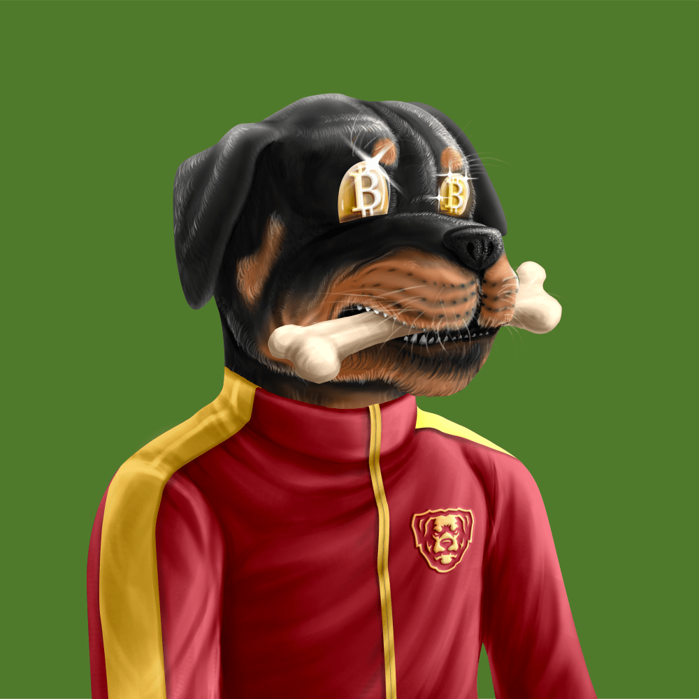 Crypto Rott 919 - Zamage