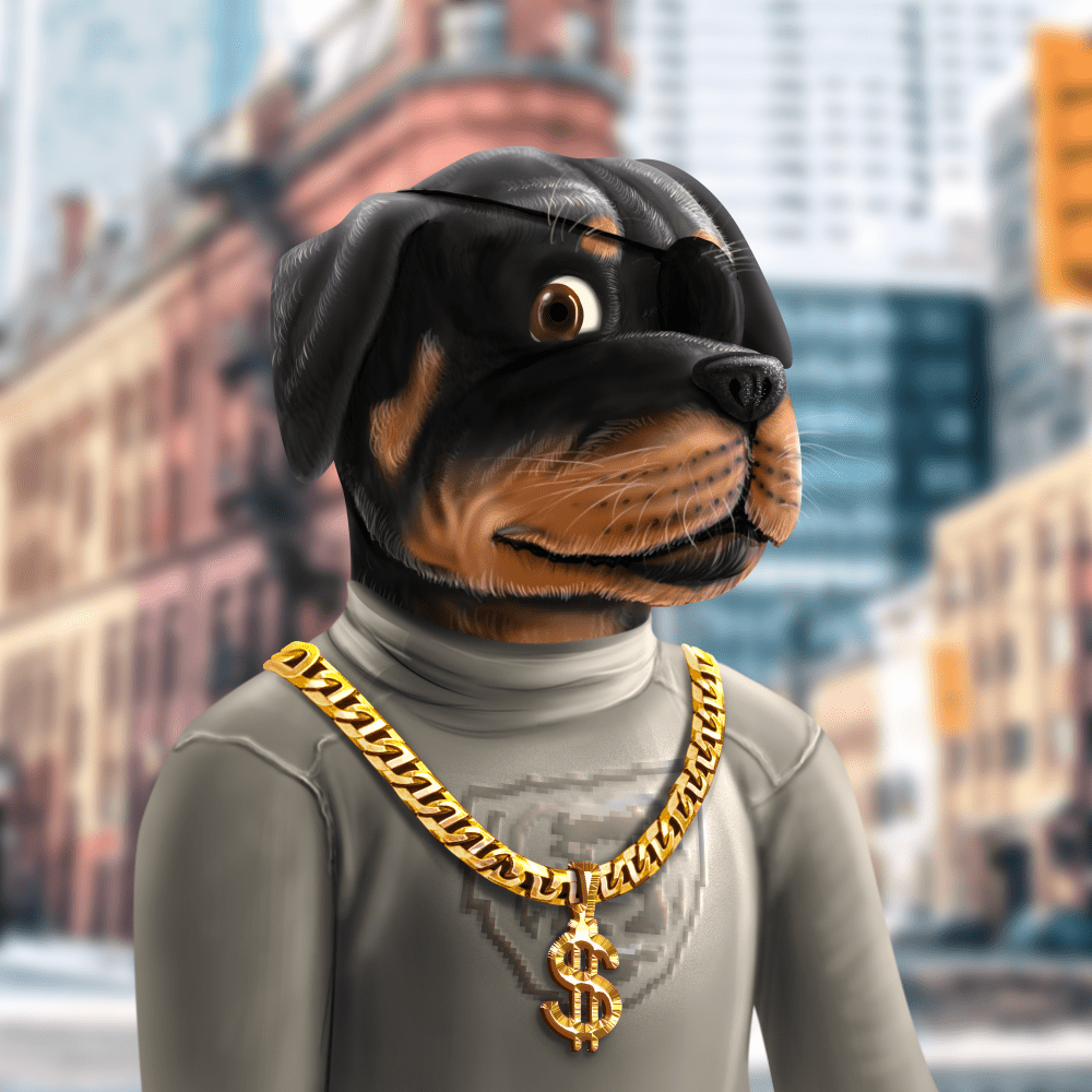 Crypto Rott 920 - Zamage