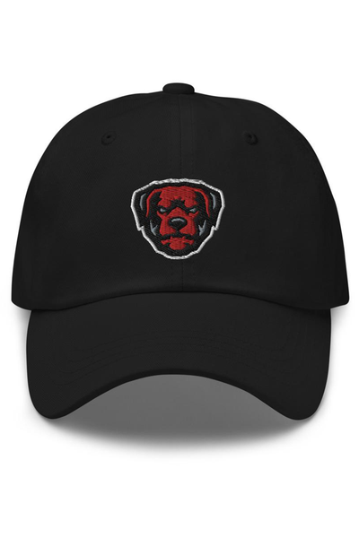 Chicago Bears Throwback Franchise Fitted Hat by '47